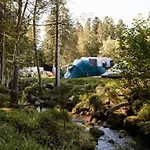 Mobil 32m² Avec Terrasse, 3 Pour 6 Personnes - Api-1-52-713 营地 *