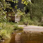 营地 Mobil 32m² Avec Terrasse, 3 Pour 6 Personnes - Api-1-52-713