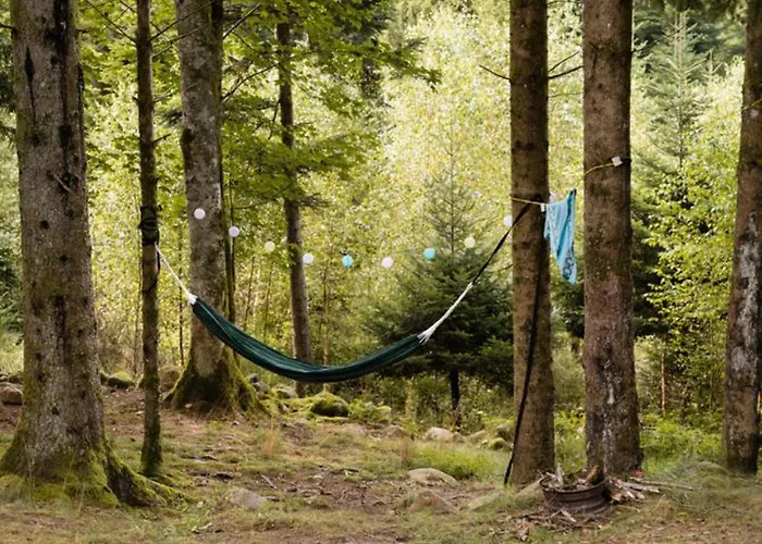 Mobil 32m² Avec Terrasse, 3 Pour 6 Personnes - Api-1-52-713