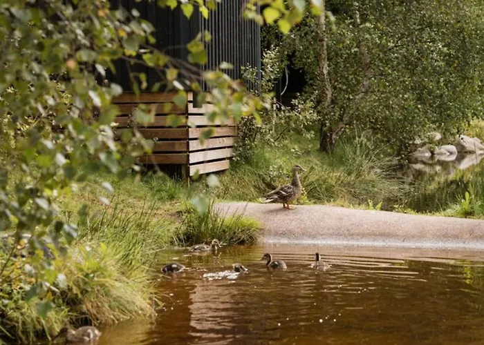 Mobil 32m² Avec Terrasse, 3 Pour 6 Personnes - Api-1-52-713 *