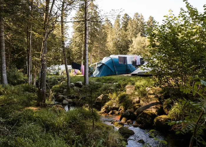 Mobil 32m² Avec Terrasse, 3 Pour 6 Personnes - Api-1-52-713 Kemping *