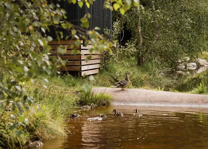 Kamp alanı Mobil 32m² Avec Terrasse, 3 Pour 6 Personnes - Api-1-52-713